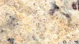 Granito Amarelo Ornamental