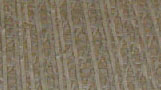 Limestone Aranhurado