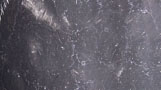 Mármore Nero Marquina